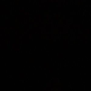 Meet your Posher, Sheila